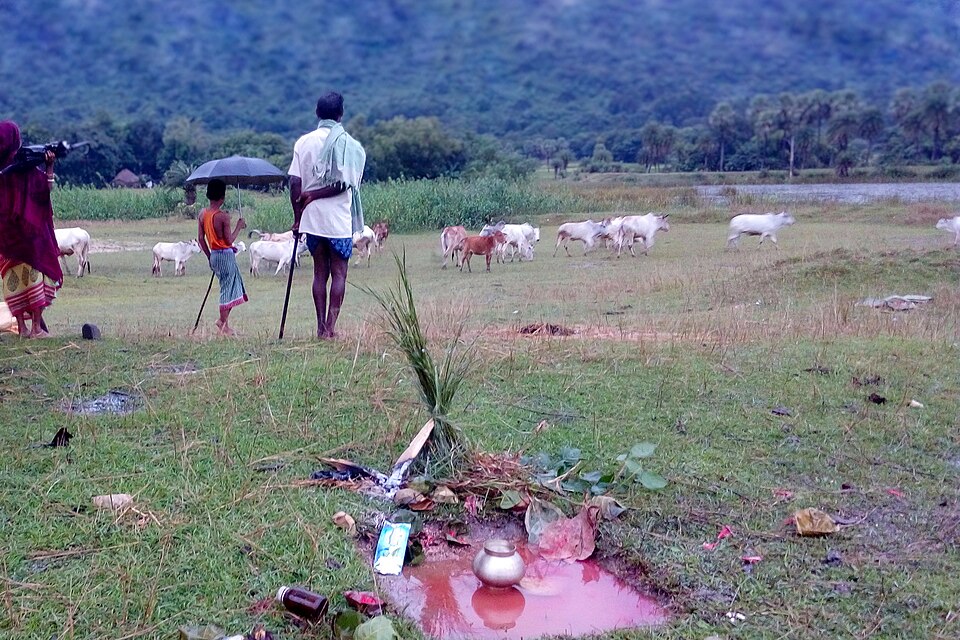 Villagers singing and dancing during Bhadu festival