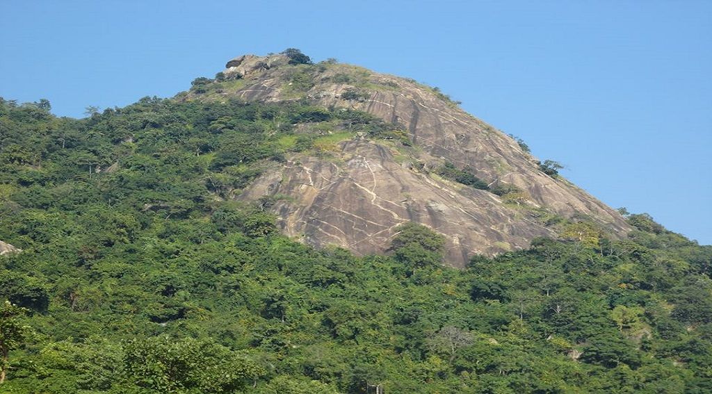 Pakhi Pahar